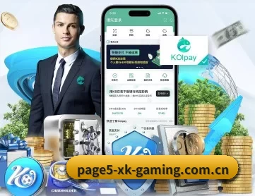 星空官网入口 APP 深度功能
